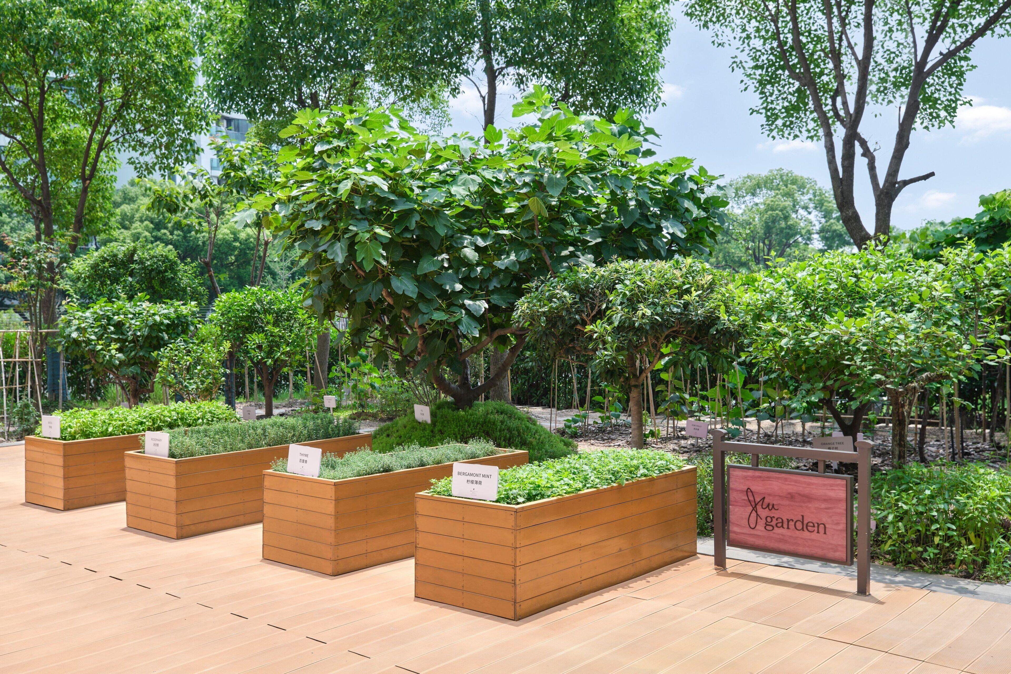 ⋆⋆⋆⋆⋆ | 上海鲁能JW万豪侯爵酒店 | 中国 | 价格为$203
